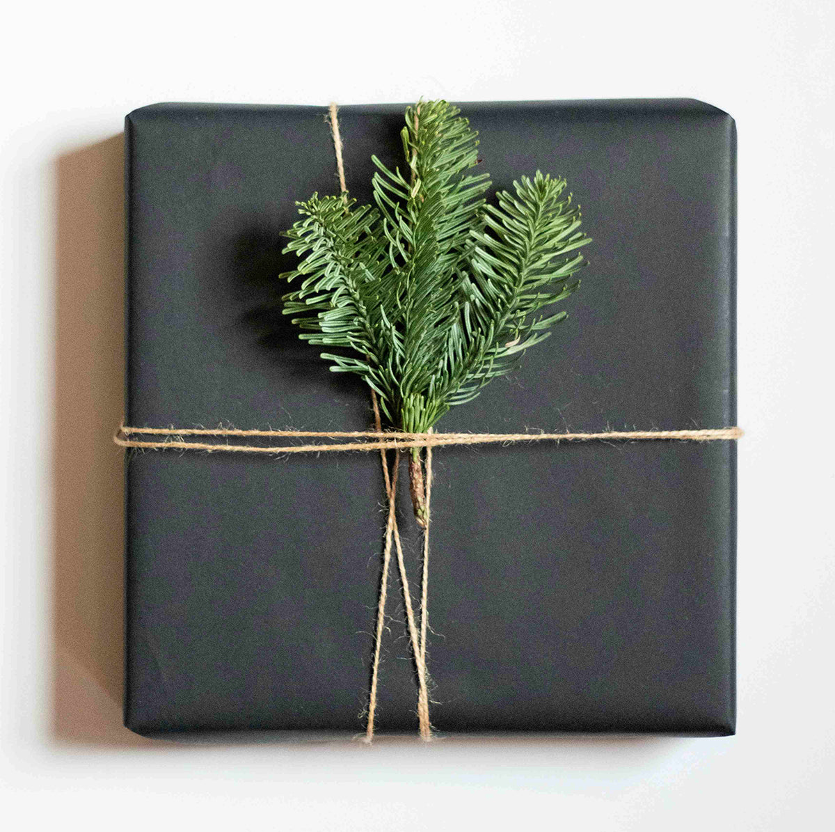 Struik cadeau