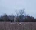 Midwinter Dagretraite - 20 dec.