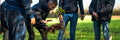 Verwijdering 1 ton CO2